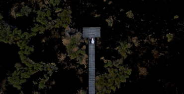 Kamerzysta Ostrołęka